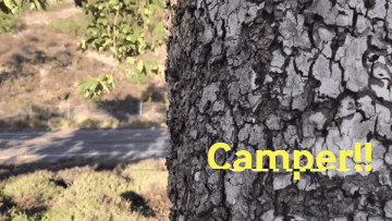 camper #shocked #upset #playfair #gamer #cheating #mad #angry halfdologaming GIF