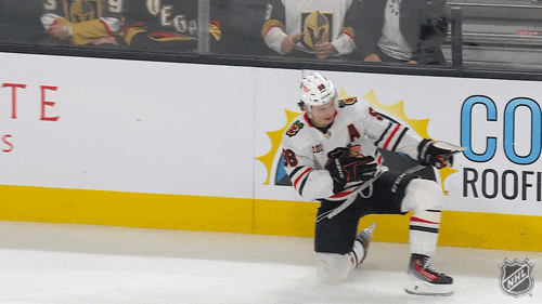 Happy Chicago Blackhawks GIF by NHL
