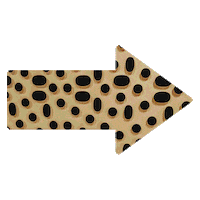 Look Here Omg Sticker by Tétris Design x Build