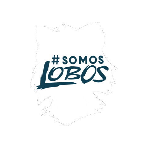 Lobos Sticker by Colegio Campogrande