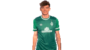 Nick Wolle Sticker by SV Werder Bremen