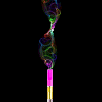 lolalola bwelt gifmybrand lolalola GIF