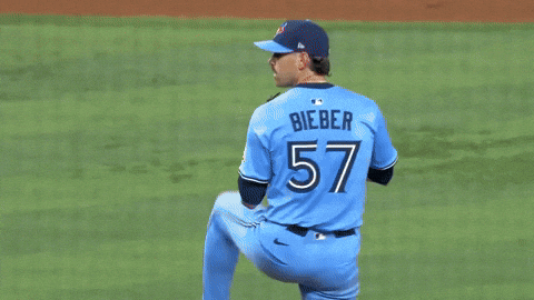 Blue Jays Baseball GIF by Toronto Blue Jays