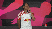 Rb Leipzig Football GIF by Bundesliga