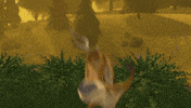 Freak Out Omg GIF