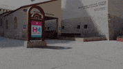 Miami Beach History GIF by Museum of Miami