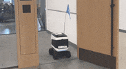 Studying Bay Area GIF by Kiwibot