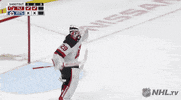 Celebrate Ice Hockey GIF by NHL
