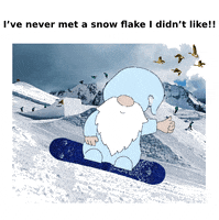 Snow Winter GIF