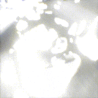 Best Team GIF by Old School Academy