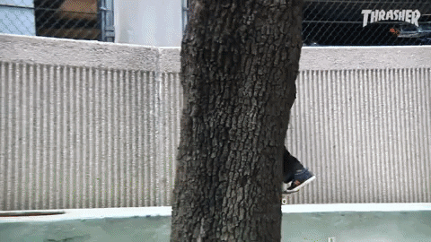 boardmagcz giphyupload GIF