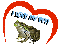 Guinea Pig Love Sticker