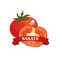 sakatamexico sakata sakatamexico Sticker