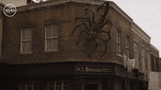 Series 12 Thirteenth Doctor GIF by Doctor Who