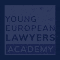 Eu Law Sticker GIF by Eurpean Academy of law