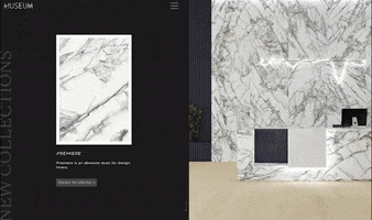 New Collections GIF by Museum Surfaces