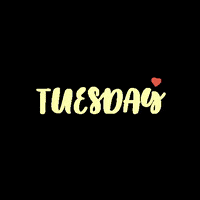 shffiqaa tuesday days noana shffiqaa GIF
