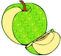 fruits STICKER