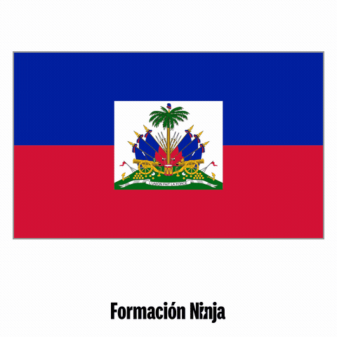 Haiti Flag GIF by Formación Ninja