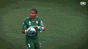 western sydney wanderers wsw GIF by wswanderersfc