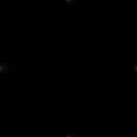 Black And White Art GIF by xponentialdesign