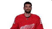 Red Wings Sport Sticker by Detroit Red Wings
