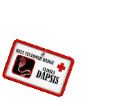 dapsisro badge dapsis dapsiseurope insigna Sticker