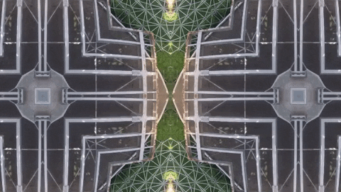 Art Film GIF by jorgemariozuleta