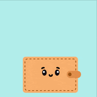 Wallet Im Rich GIF by VitraCash