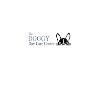 Ddcc Sticker by The Doggy Day Care Centre Ltd.