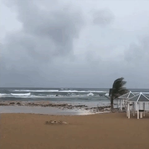 Wind and Rain Pick Up on St. Kitts as Hurricane Irma Nears