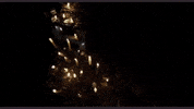 festivalequis  GIF