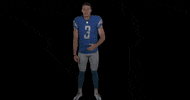 Football Yes GIF by Detroit Lions