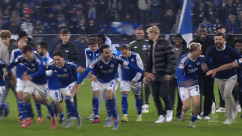 Football Win GIF by FC Schalke 04