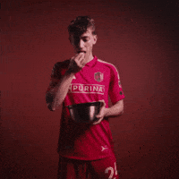 Stl Edelman GIF by St. Louis CITY SC
