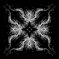 Black And White Loop GIF by xponentialdesign