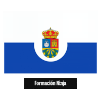 Comunidad De Madrid Flag Sticker by Formación Ninja