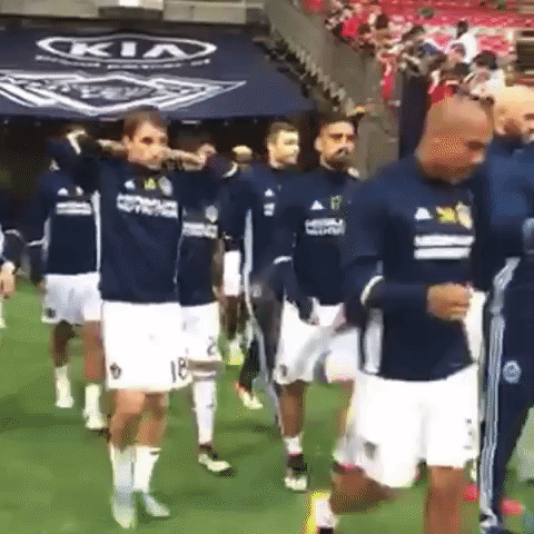 vanvla GIF by LA Galaxy