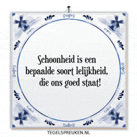 Reflectie Verandering GIF by Tegelspreuken.nl