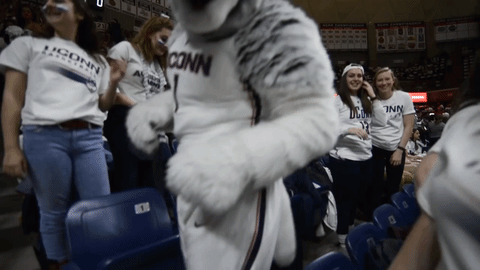 Mascot Jonathan GIF by UConn Huskies