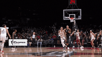 Womens Basketball Sport GIF by WNBA