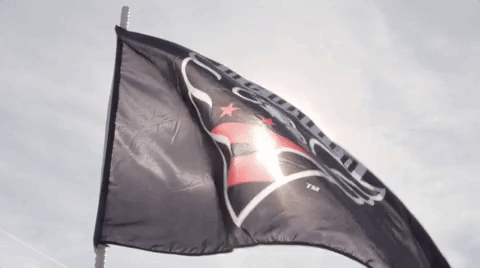 soccer flag GIF by D.C. United