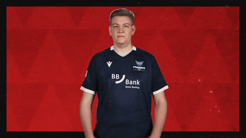 Karlsruher Sc Football GIF by Bundesliga