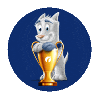 Pet Futebol Sticker by Ourofino Saúde Animal