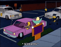 homer simpson episode 22 GIF