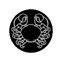 Zodiac Sign Sunshine Sticker by Digital Pratik