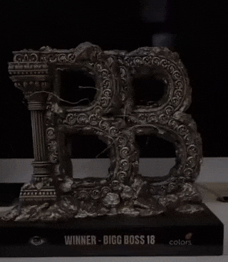 Karanveermehra GIF