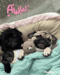I Love You Hello GIF