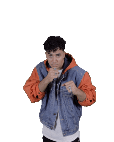 jordystuif giphyupload timor steffens timorworld Sticker