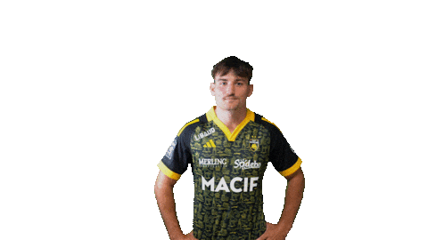 Sport Celebration Sticker by Stade Rochelais